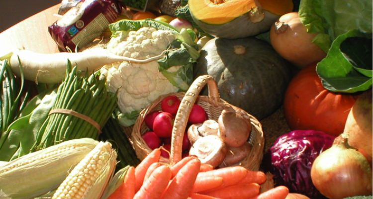 Simmered Tofu, Rich & Juicy